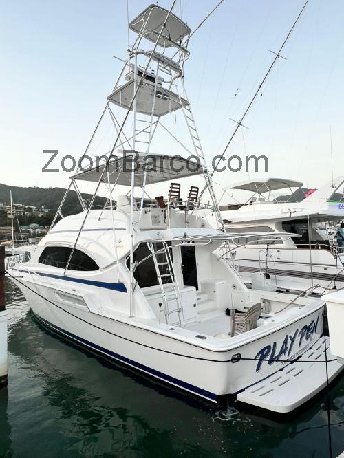 Bertram 51 ficha tecnica 